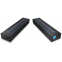 Hub RaidSonic Icy Box IB-AC6113