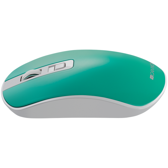 Mouse Canyon MW-19 CNS-CMSW18A