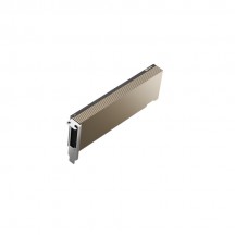Placa video PNY NVIDIA A2 TCSA2MATX-PB