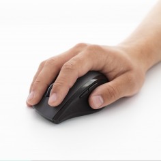 Mouse Logitech  910-006034 2