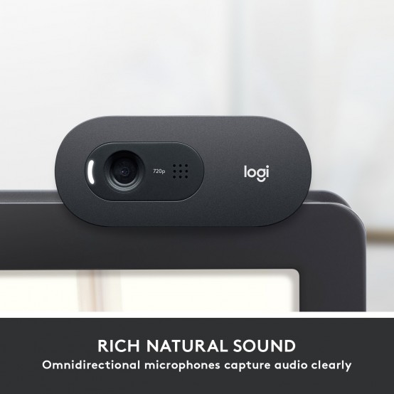 Camera web Logitech C505 HD Webcam with Long Range Microphone 960-001364