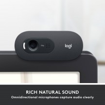 Camera web Logitech C505 HD Webcam with Long Range Microphone 960-001364
