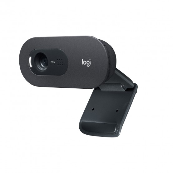 Camera web Logitech C505 HD Webcam with Long Range Microphone 960-001364