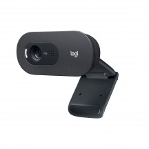 Camera web Logitech C505 HD Webcam with Long Range Microphone 960-001364