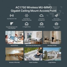 Access point TP-Link  FESTA F54