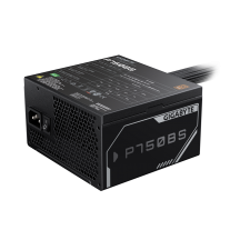 Sursa GigaByte  GP-P750BS