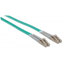 Cablu Intellinet  302747