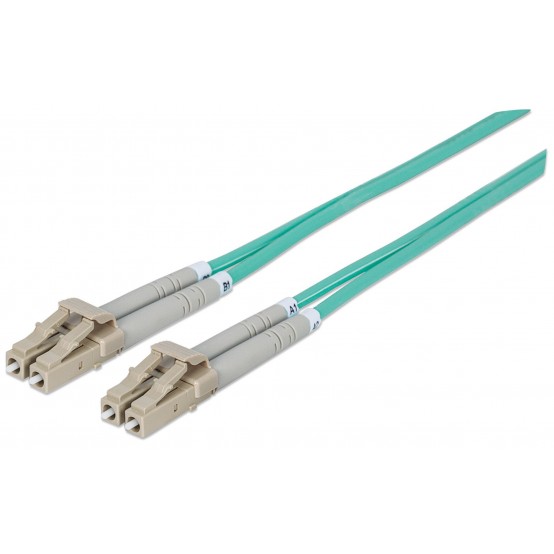 Cablu Intellinet  302747