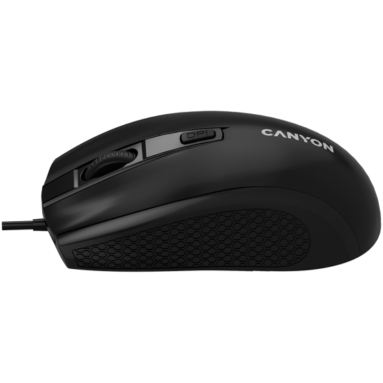 Mouse Canyon  CNE-CMS4