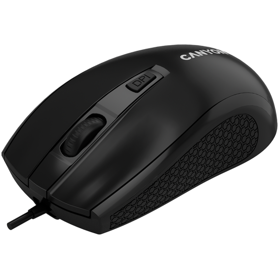 Mouse Canyon  CNE-CMS4