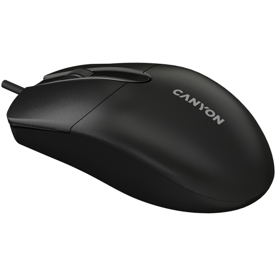 Mouse Canyon  CNE-CMS5