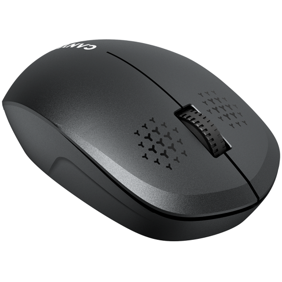 Mouse Canyon  CNS-CMSW04B