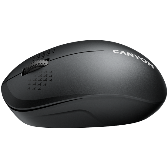 Mouse Canyon  CNS-CMSW04B