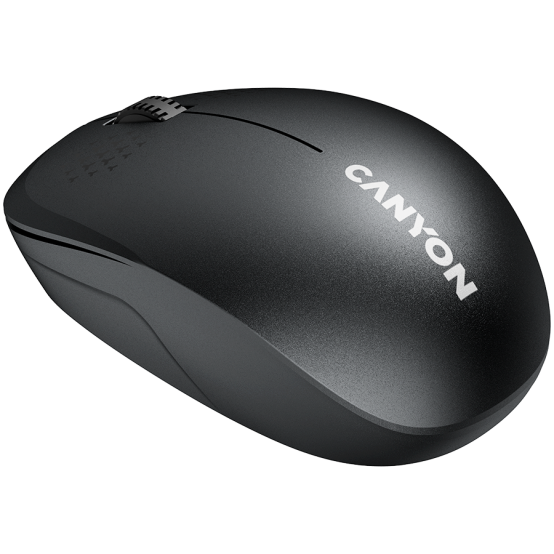 Mouse Canyon  CNS-CMSW04B