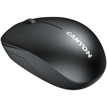 Mouse Canyon  CNS-CMSW04B