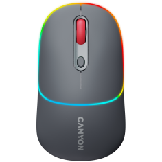 Mouse Canyon  CNS-CMSW22DG