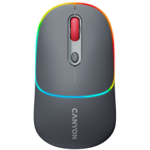 Mouse Canyon  CNS-CMSW22DG