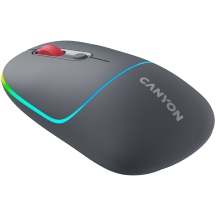 Mouse Canyon  CNS-CMSW22DG
