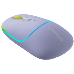 Mouse Canyon  CNS-CMSW22ML 2