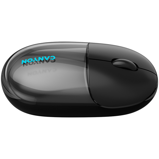 Mouse Canyon  CNS-CMSW24B