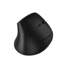 Mouse Canyon  CNS-CMSW25