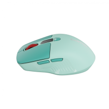 Mouse Canyon  CNS-CMSW26GR