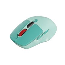 Mouse Canyon  CNS-CMSW26GR