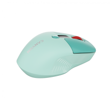 Mouse Canyon  CNS-CMSW26GR