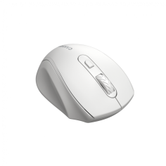 Mouse Canyon  CNE-CMSW20W 2