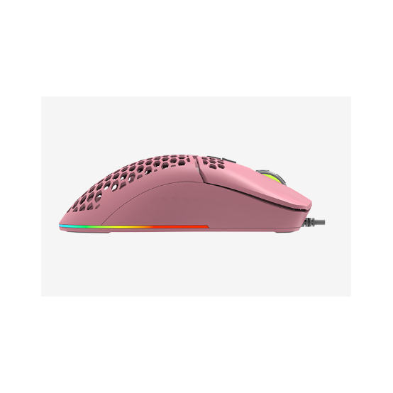 Mouse Delux  M700A-P