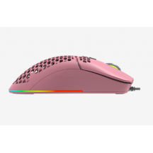 Mouse Delux  M700A-P