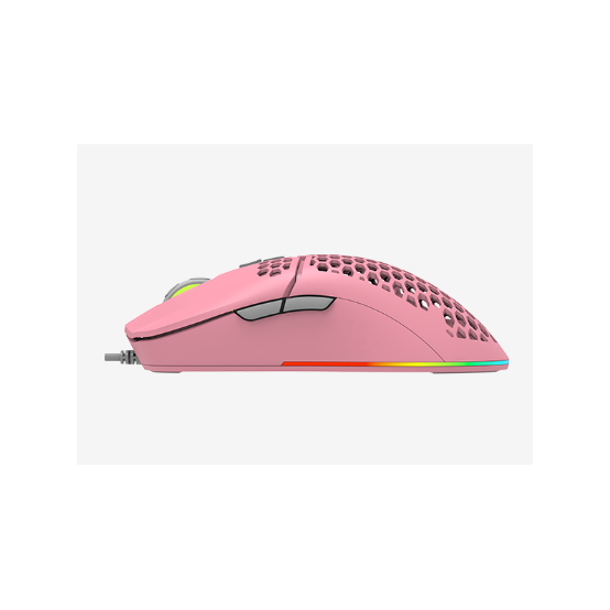 Mouse Delux  M700A-P