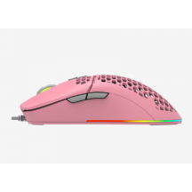 Mouse Delux  M700A-P