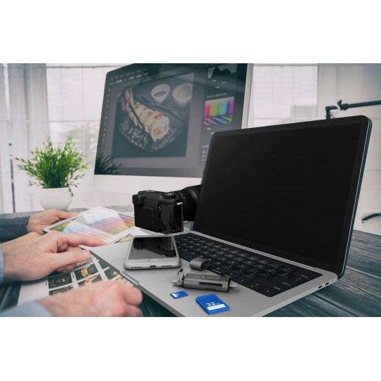 Card reader RaidSonic  IB-CR200-C